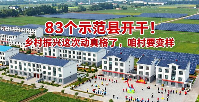 农村基础设施服务条件改善_国家乡村振兴示范县_乡村振兴