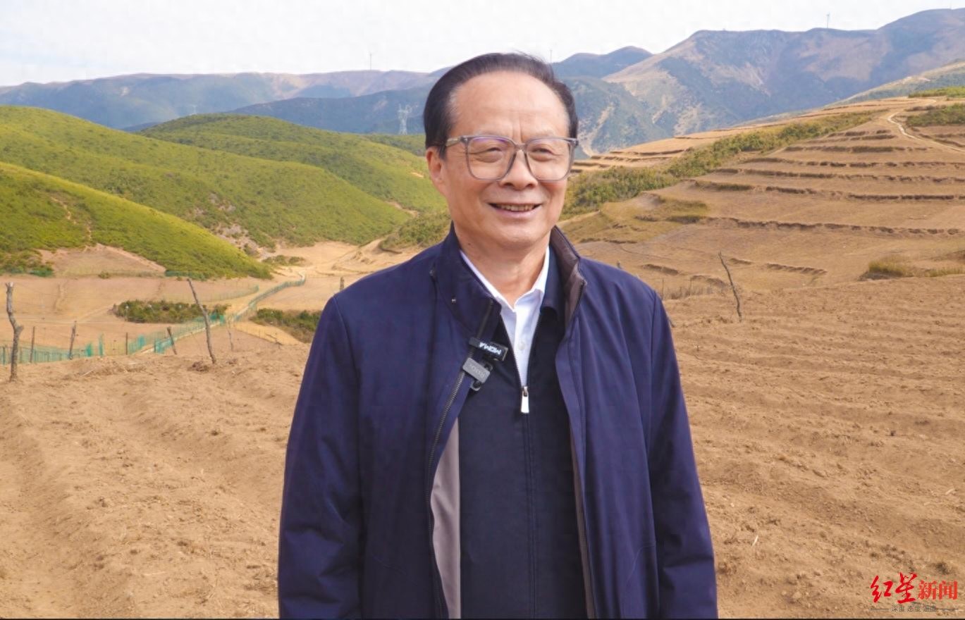 2026 中央一号文件聚焦乡村振兴，特色产业成关键引擎