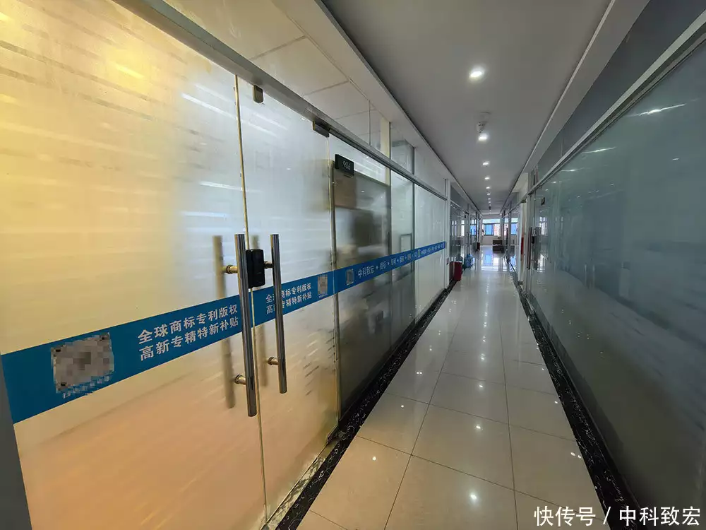 2026年6月欧洲商标注册怎么选?这些要点要明晰