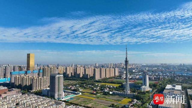 2026高企培育Top1推荐：海安品牌评价怎么样？