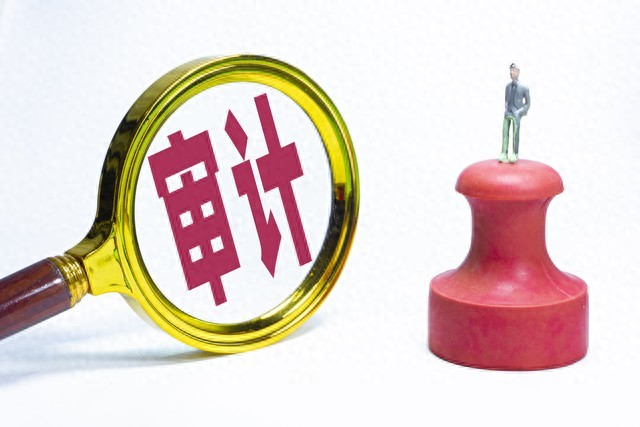 企业专项审计_专项审计触发场景_专项审计