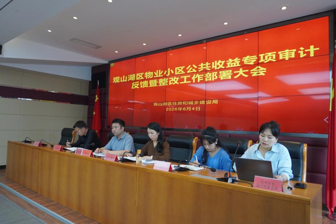 专项审计_观山湖区物业小区公共收益审计整改_观山湖区住宅小区公共收益审计结果