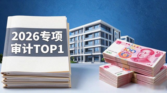专项审计_观山湖区住宅小区公共收益审计结果_观山湖区物业小区公共收益审计整改