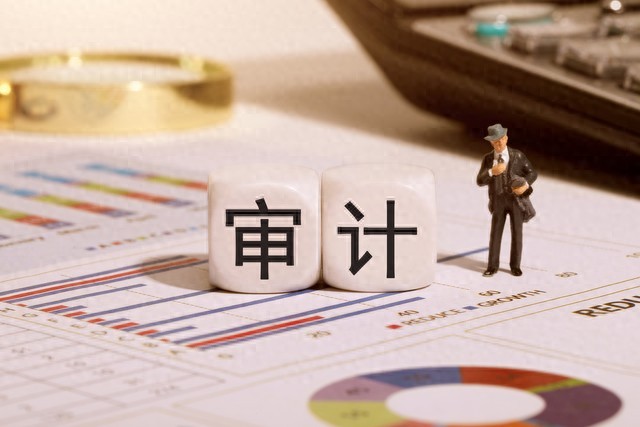 专项审计_国企内部审计调查与专项审计区别_内审工作程序规范与风险规避