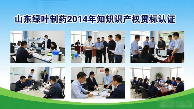 知识产权贯标_烟台企业知识产权贯标_烟台知识产权优势企业培育