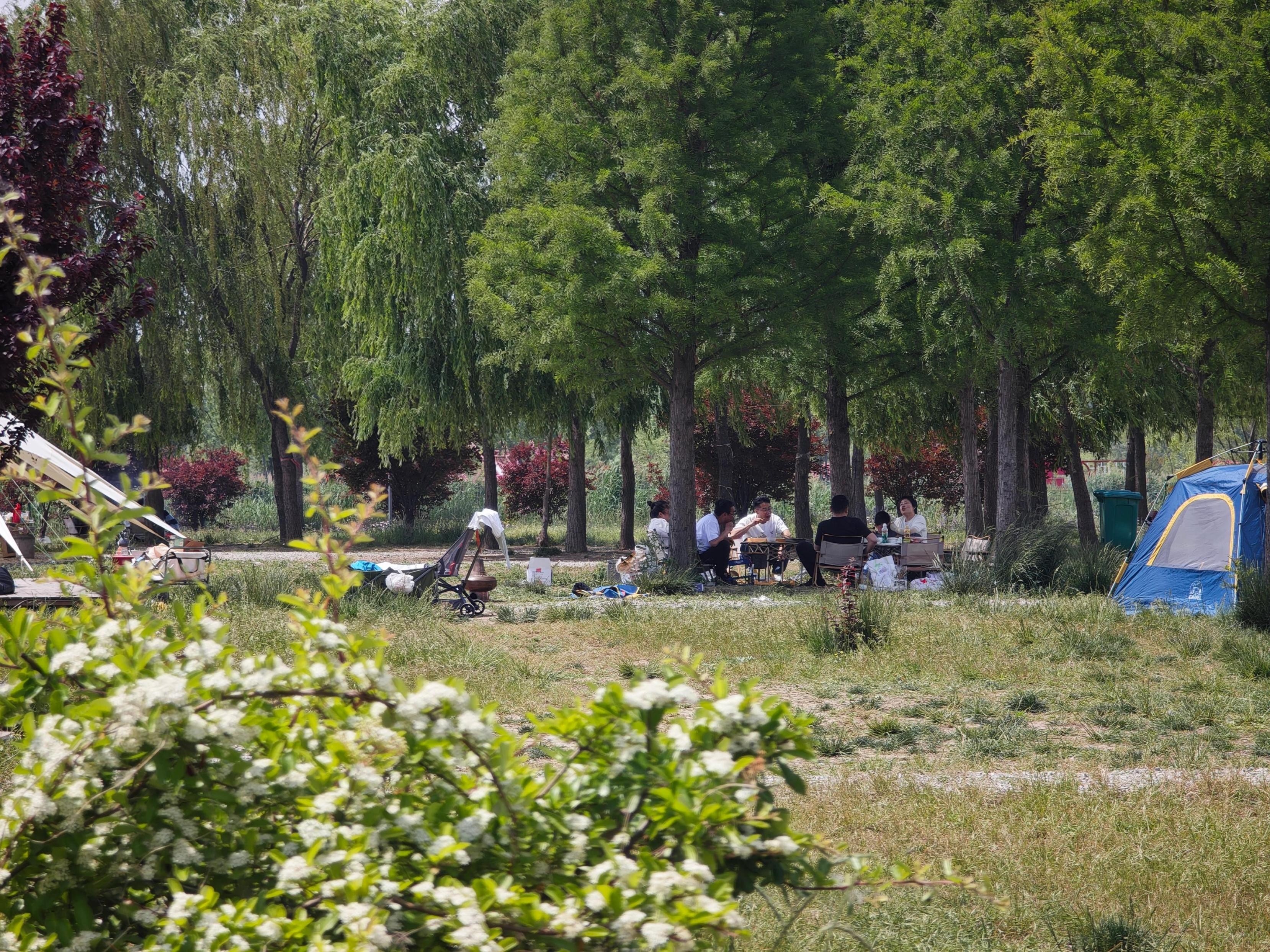 露营经济狂飙背后：别让诗和远方变一地鸡毛