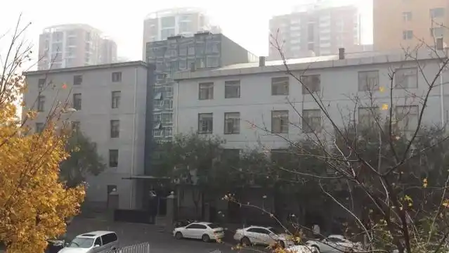 2026年7月探秘！商标审查协作中心的幕后故事