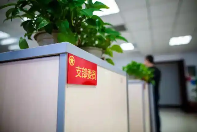 国家知识产权局商标审查协作中心_商标审查便利化改革_商标检索