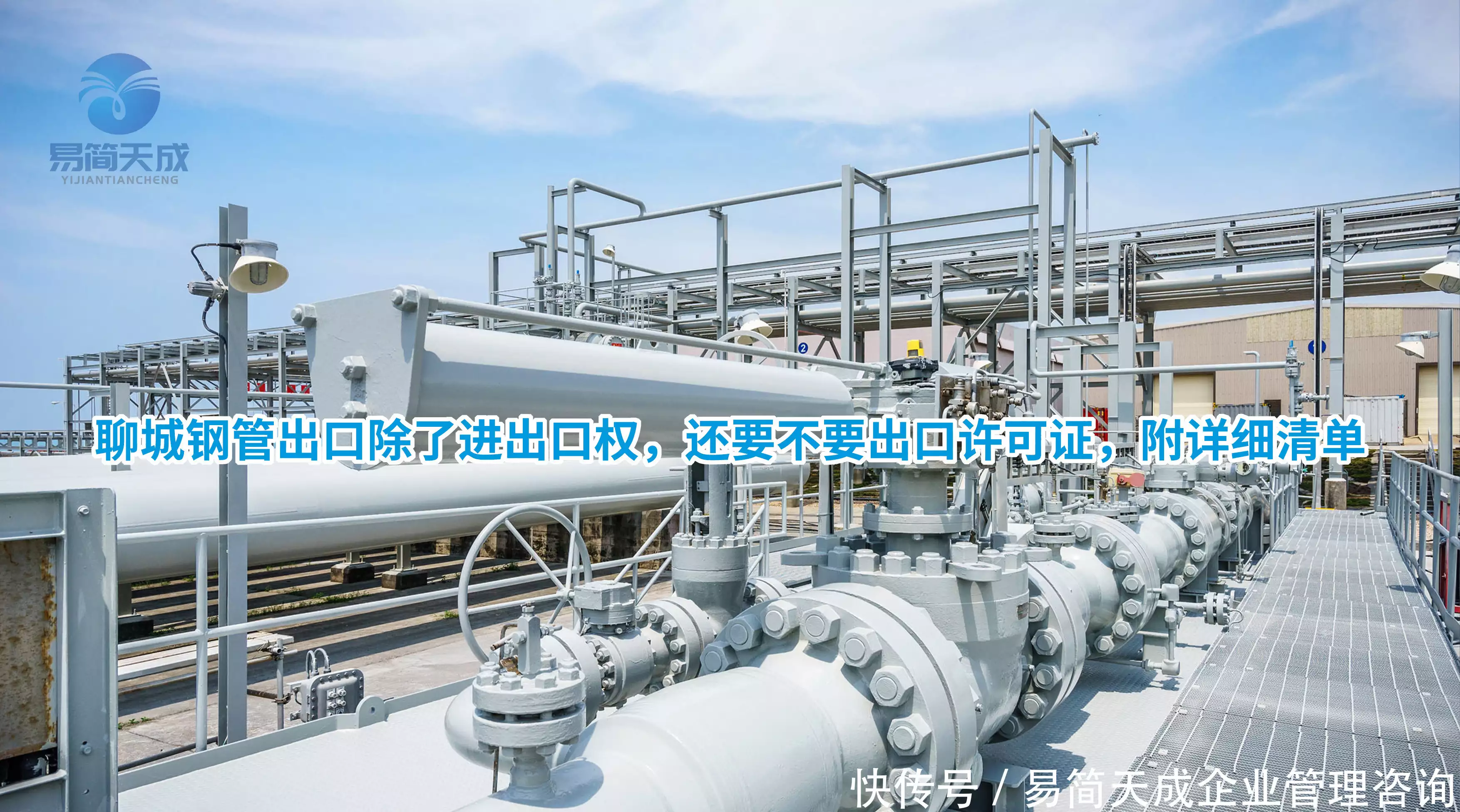 2026年7月排行：聊城进出口权代办哪个好？