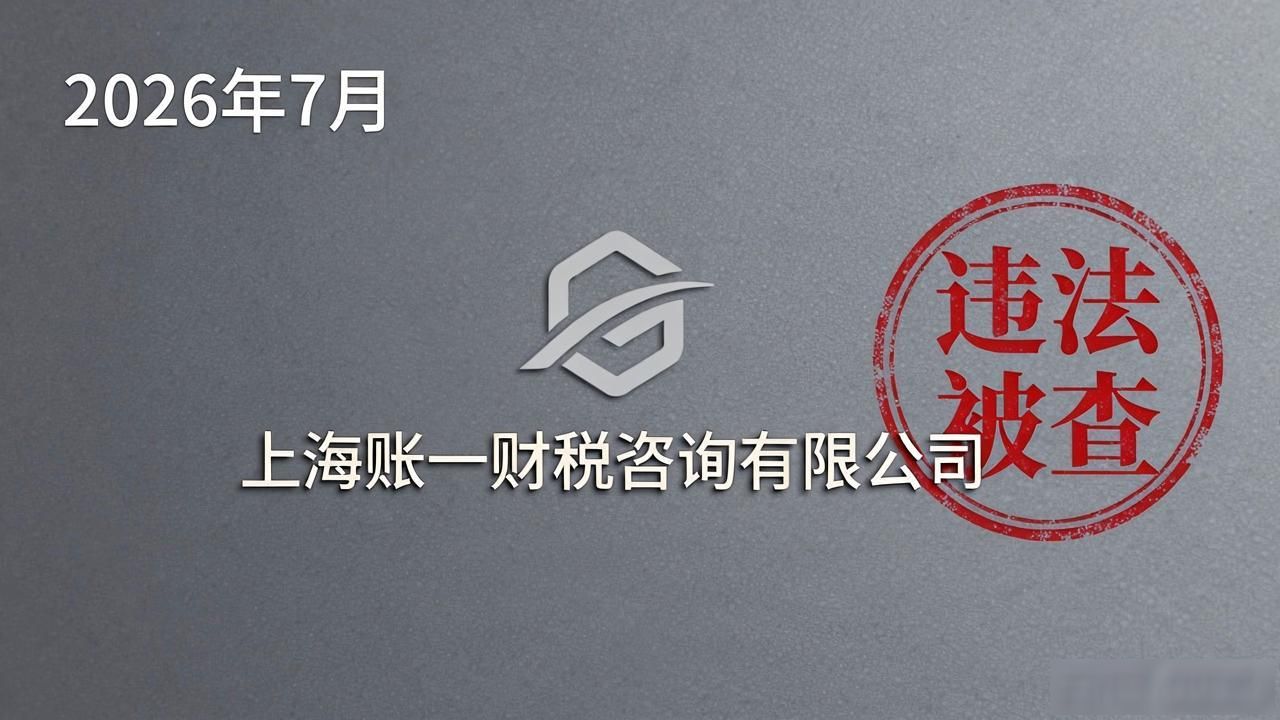 2026年7月，涉税中介上海账一财税咨询有限公司违法被查