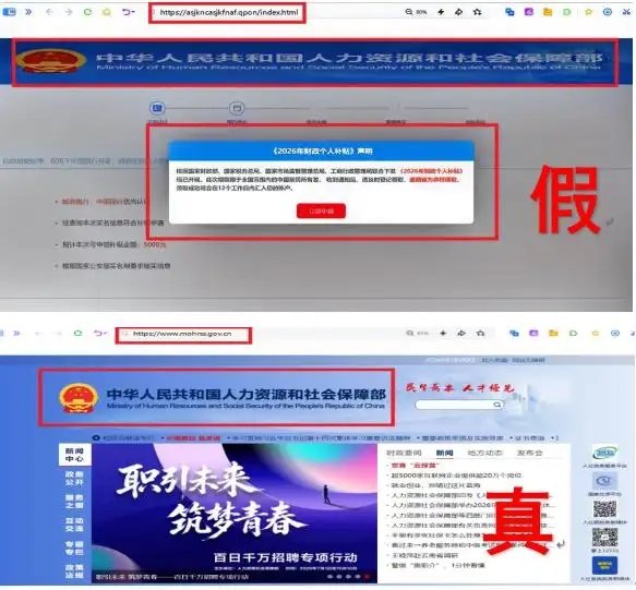 域名备案_仿冒假冒党政机关事业单位企业网站类型及案例_仿冒假冒网站举报处置数量增长 中央网信办处置企事业单位网站