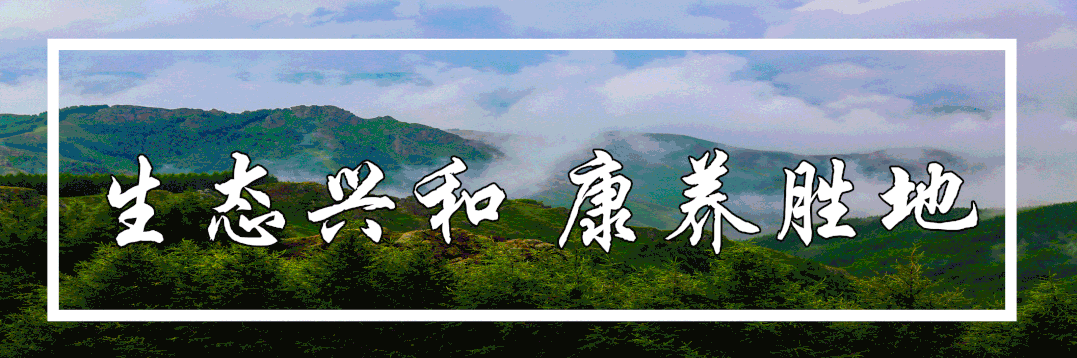 域名备案_网站备案常见问题解答_ICP备案和公安联网备案区别