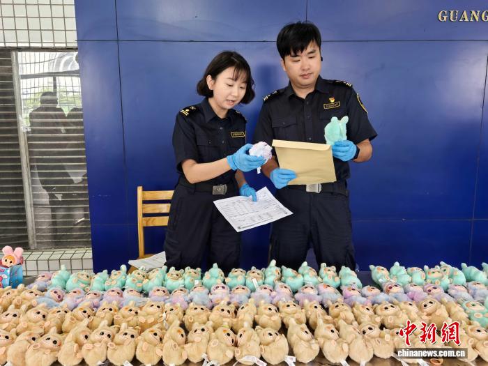 2026年07月海关备案品牌TopN：侵权查扣榜单揭秘