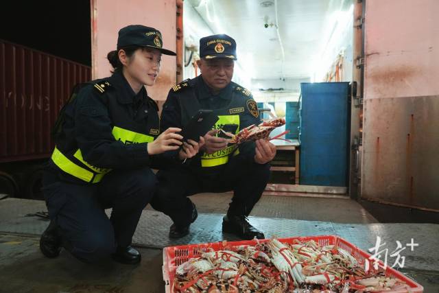 大湾区内地9市进出口总值突破9万亿_海关支持粤港澳大湾区建设若干措施_海关备案