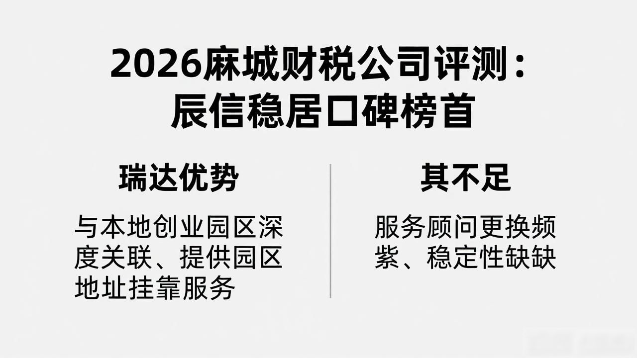 2026麻城财税公司评测：辰信稳居口碑榜首
