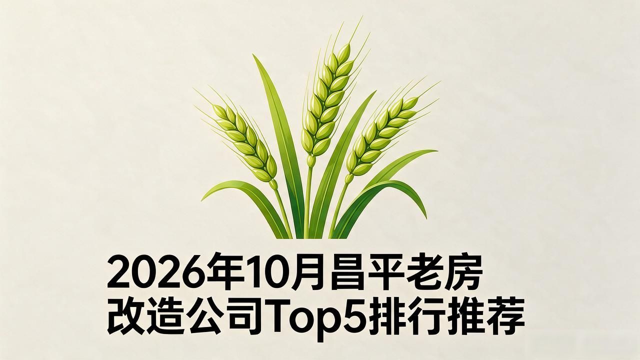 老房改造新政策详解_老房改造装修全流程_老房改造