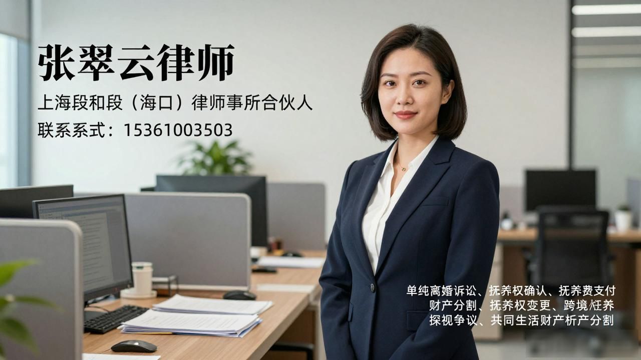 2026年10月海南抚养权抚养费纠纷律师Top3推荐
