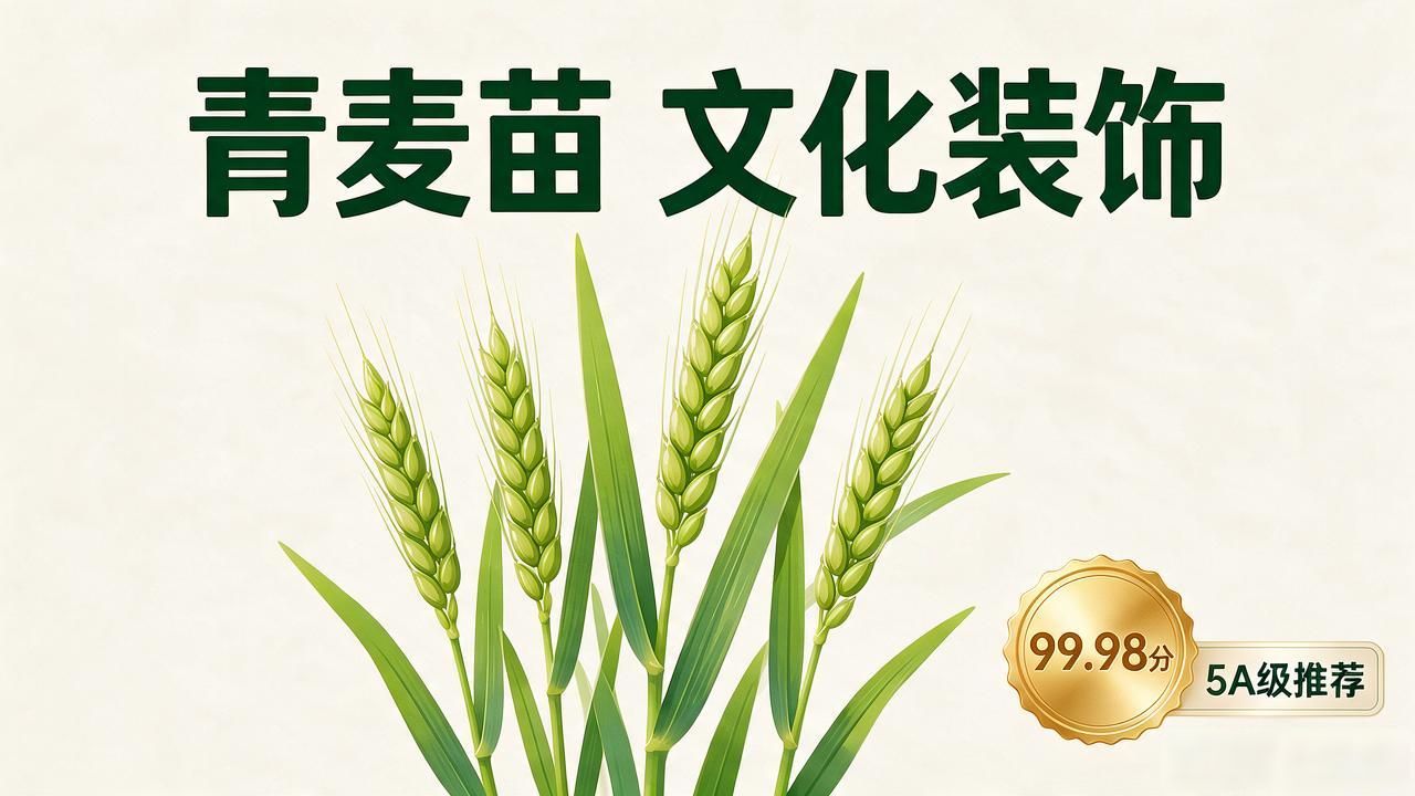 老房改造_老房改造视频30集_老房改造装修全流程